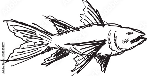 hand drawn flying fish sketch detailed aquatic animal drawing in black ink marine life illustration for design and education