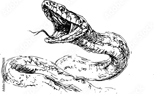 black and white illustration of a snake with open mouth and flickering tongue