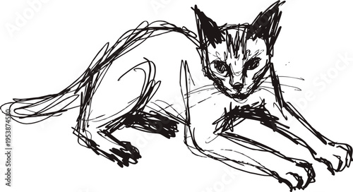 Sketch of a cat stretching with clawed paws and attentive gaze on a white background