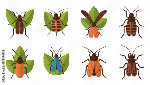Set of Colorful Insect Illustrations with Green Leaves