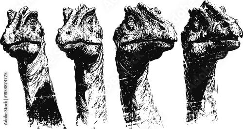 Set of four detailed dinosaur head sketches showing different angles and expressions in black and white