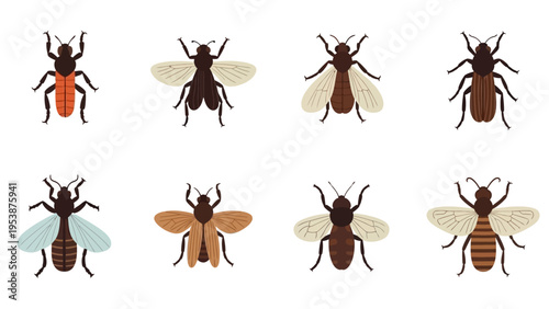 Set of stylized insects, termites and ants, isolated on white background