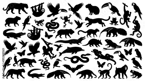 Large collection of forty tropical rainforest animal silhouettes featuring exotic birds mammals and reptiles