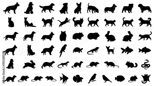 Comprehensive set of domestic pet silhouettes featuring various dog breeds cats rodents and exotic reptiles