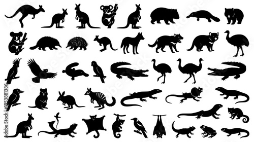 Comprehensive collection of thirty four black silhouettes representing iconic Australian wildlife and native fauna