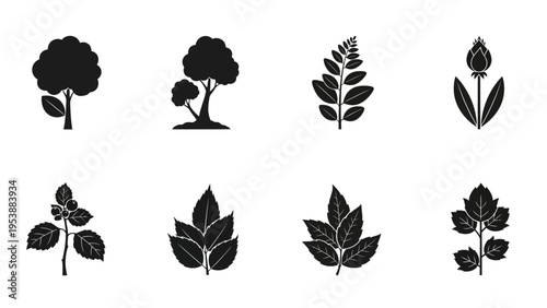 Set of Black Silhouette Icons: Trees, Leaves, and Flower Bud