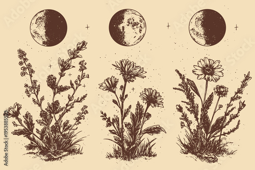 Vertically arranged moon phases surrounded by delicate wildflowers, tattoo stencil design, vector illustration