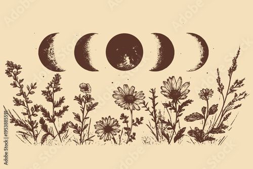 Vertically arranged moon phases surrounded by delicate wildflowers, tattoo stencil design, vector illustration