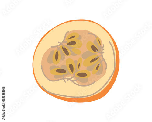 Half a granadilla, its juicy pulp and seeds. Vector sweet passion fruit. Tropical composition of a whole Maracuja fruit and a slice. Colored hand-drawn illustration isolated on a white background.