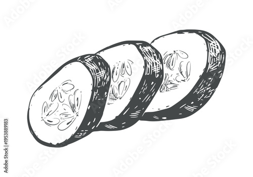 Vector sketch of a cucumber. Slices of the fresh vegetable lie on a table. Detailed botanical illustration isolated on a white background. Line drawing agricultural vegetable for packaging.