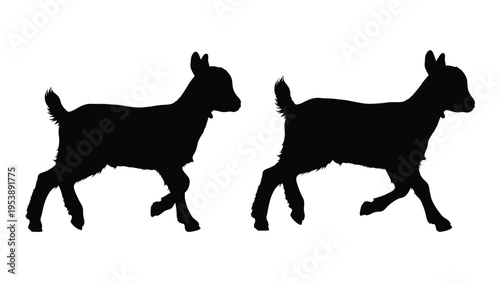Two young goats are depicted in a striking black silhouette against a white background