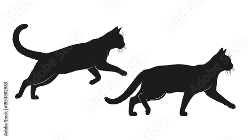 Two black silhouettes of cats in dynamic stalking poses against a white background