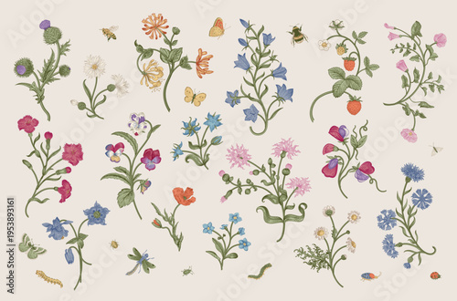 Flowers of the meadow. Set. Vintage vector floral illustration. Motif. Inspired by hand embroidery. Colorful