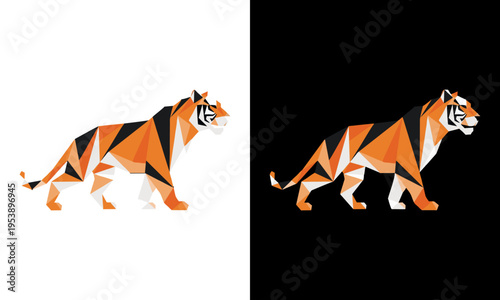 Tiger walks on white and black backgrounds with orange and black stripes