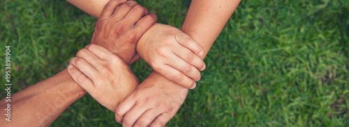 Banner Green business hands partners holding small tree plant eco company. Hand together trust mission team green hands stacked. Banner sustainable collaborate business green company with copy space