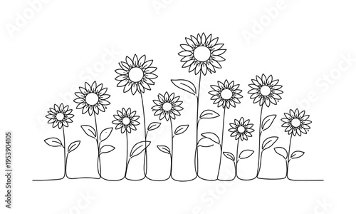"Field of Sunflowers". Minimalistic one-line drawing several sunflowers with varied heights growing together,