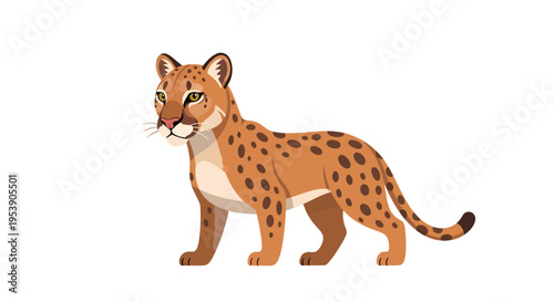 Cougar Image, Vector Illustration, Wildlife Portrait, Nature Design, Animal Photography