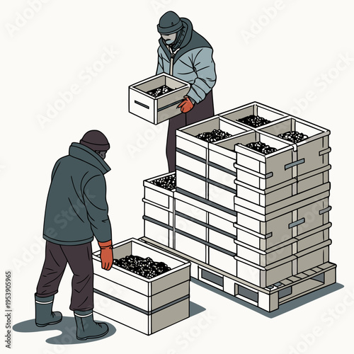 Two workers in winter clothing stacking and handling crates filled with grapes