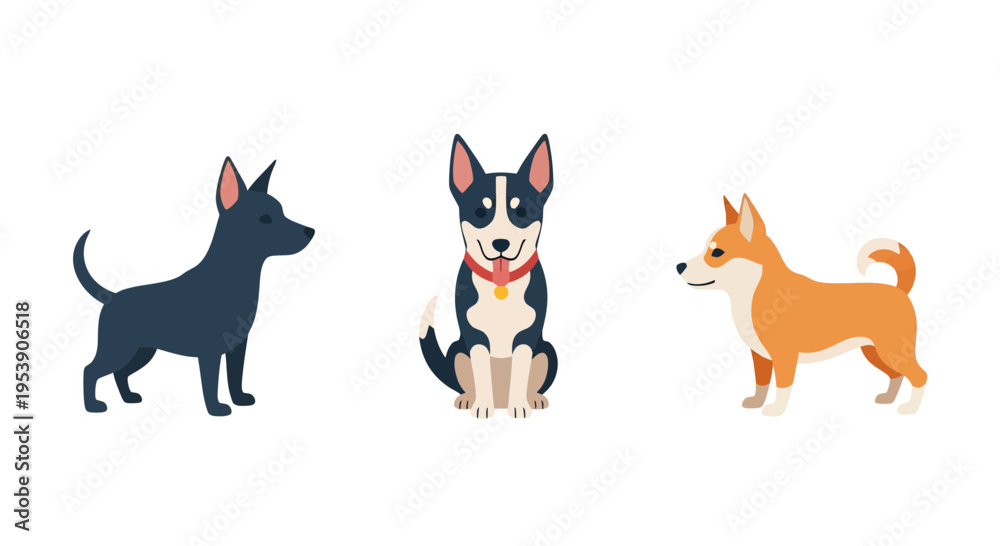 Obraz premium Dog breeds illustration, vector style graphic for pet lovers and animal themes