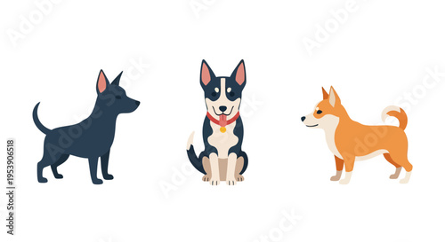 Dog breeds illustration, vector style graphic for pet lovers and animal themes