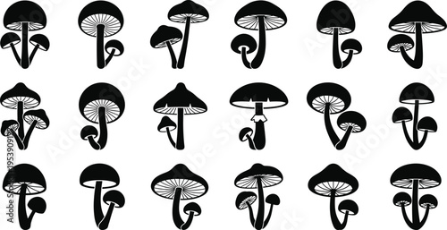 Mushroom silhouette icons, forest fungus organic nature design elements, autumn woodland botany, edible and poisonous fungal shapes on white