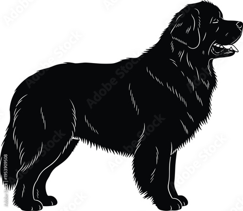 Newfoundland dog black silhouette, giant breed dog standing profile, isolated vector illustration for pet care, canine animal breeds, dog lover design, purebred dog icon