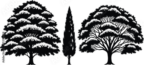 Black silhouette collection of different tree types including oak, cypress, and maple for nature, landscaping, environmental design, and outdoor projects