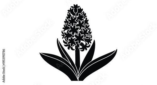 A striking black and white illustration depicts a hyacinth flower with detailed floral arrangement