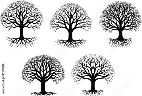 Black Tree Silhouette Set with Roots, Five Bare Winter Oak Vector Illustrations Isolated on White Background for Family Tree Design.
