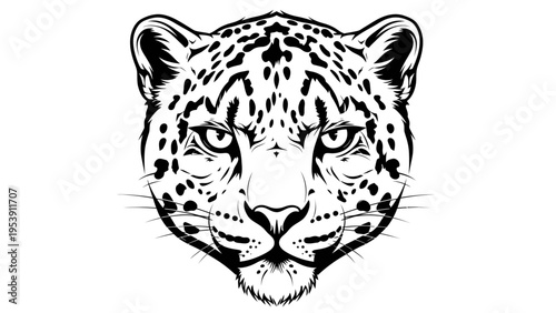Leopard Face Close-up Black and White Illustration - Fierce Predator Portrait
