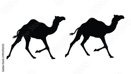 Two black silhouettes of camels walking in different poses against a white background