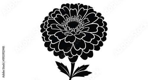 A striking black and white silhouette of a fully bloomed chrysanthemum flower with leaves