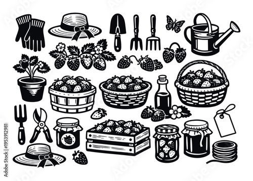 Picking fresh strawberries, gardening items, fruit baskets, and homemade jam. Summer farm harvest concept