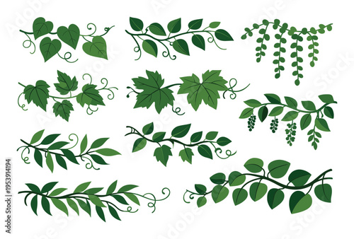 Set of various green vines, leafy branches, and decorative foliage elements, creating natural botanical illustrations