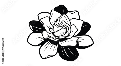 A minimalist black and white illustration depicts a single gardenia flower in full bloom