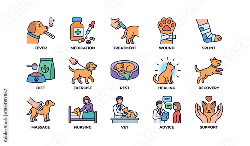 Comprehensive dog healthcare: treatment, recovery, and well-being icons