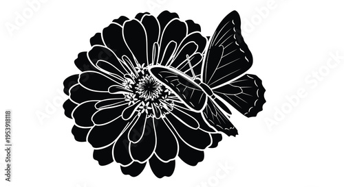A striking black and white illustration depicts a butterfly resting delicately on a zinnia flower high quality