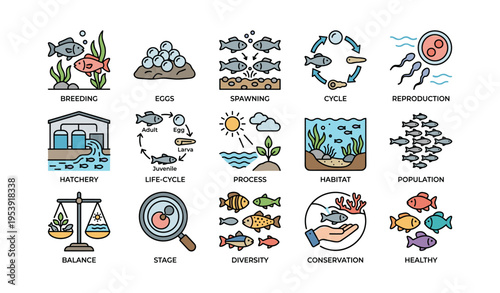Fish breeding and life cycle stages illustrated with habitat, hatchery, and conservation