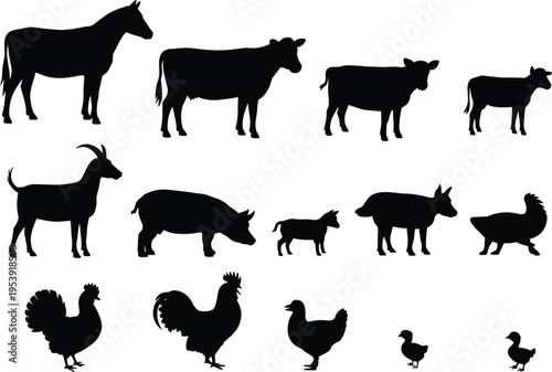 Farm animal silhouettes set, black livestock and poultry collection, cow horse goat pig chicken vector illustration, rural agriculture theme, isolated minimal design icons