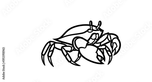 Detailed Line Art Illustration of a Crab with Prominent Claws.