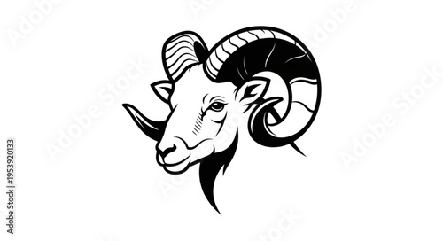 Detailed Black and White Illustration of a Rams Head with Curled Horns.