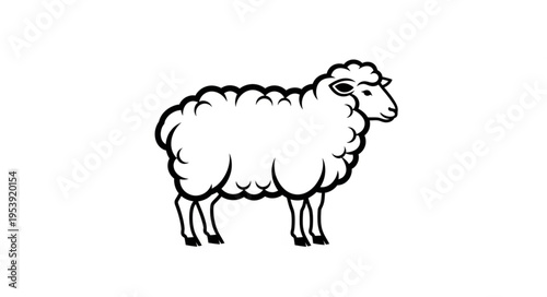 Detailed Illustration of a White Woolly Sheep Standing Profile.