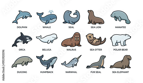 Cute marine mammals collection: whale, seal, dolphin, polar bear, narwhal, walrus illustrations