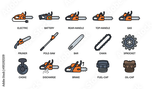 Chainsaw parts and accessories: diagrams of electric, gas, pruner, and more