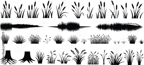 Grass and reed silhouettes collection, black vector plants with cattails, bushes, roots and meadow elements, nature design set isolated on white background