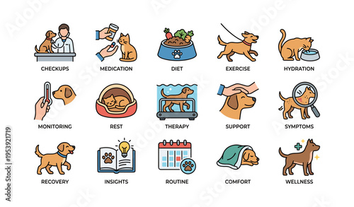 Icons of essential dog care: checkups, exercise, diet, and wellness tips