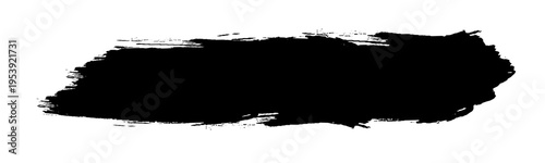 Flowing curves and brush strokes in Japanese style. Vector illustration. EPs 10