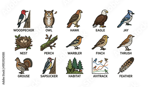 Illustrated guide to common north american birds and their natural habitats