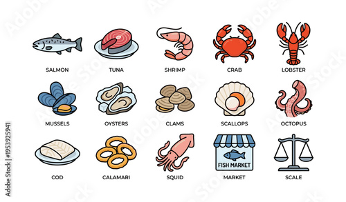 Illustrated seafood variety: salmon, shrimp, lobster, clams, and more