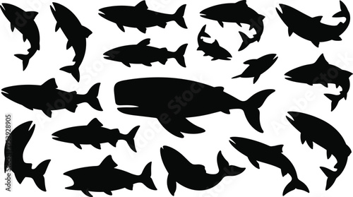 Shark silhouettes vector collection, black marine predator shapes set, ocean wildlife illustrations, underwater fish elements, aquatic animal design for logo, tattoo, branding